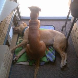 Meet your Posher, Melinda